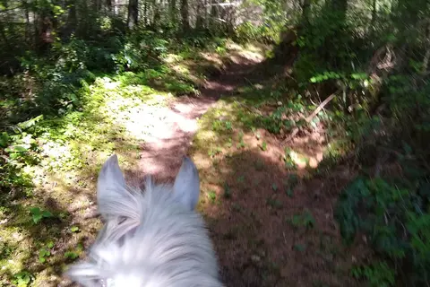 Sahara Creek Horse Camp - Department of Natural Resources