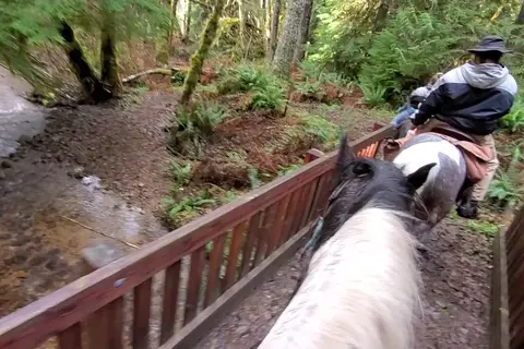 Sahara Creek Horse Camp - Department of Natural Resources
