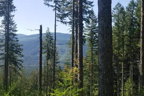 Sahara Creek Horse Camp - Department of Natural Resources
