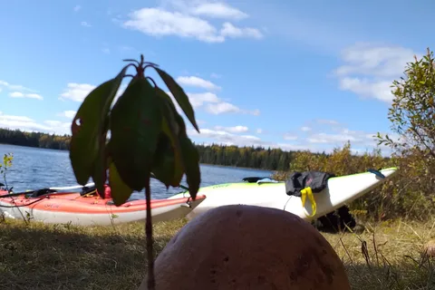 Lac Savane Ouest - Mont Tremblant Provincial Park