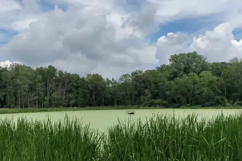 Mcintosh Woods State Park