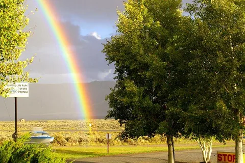 Oasis RV Resort & Cottages