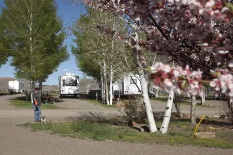 Oasis RV Resort & Cottages