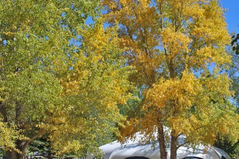 Oasis RV Resort & Cottages