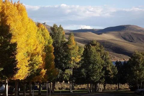 Oasis RV Resort & Cottages