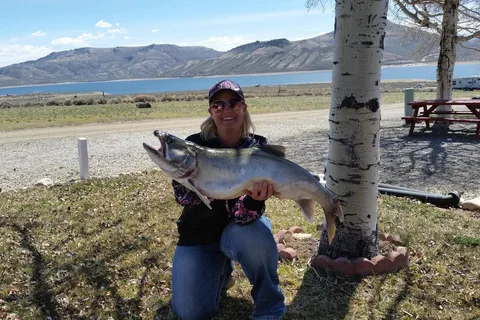 Oasis RV Resort & Cottages