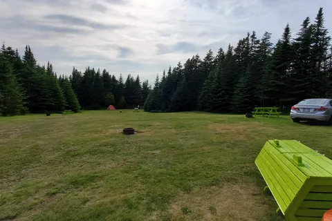 Peytons Woods RV Park and Campground