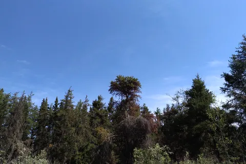 Franchere Bay Recreation Area