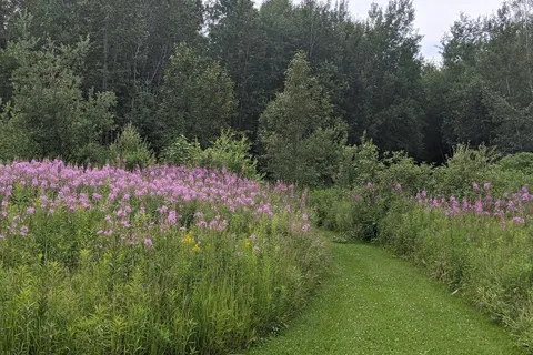 Arndts Aroostook River Lodge and Campground