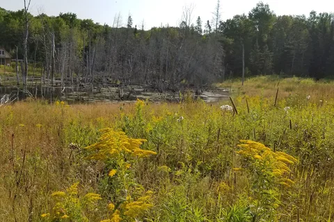 Arndts Aroostook River Lodge and Campground