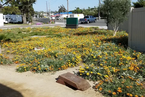 Olive Avenue RV Resort