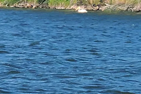 Vezeau Beach MD Park