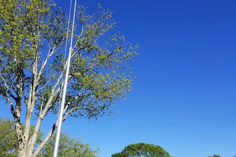 Coastal Acres Camping Court