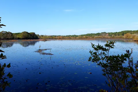 Coastal Acres Camping Court