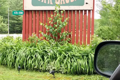 Lost Valley Campgrounds