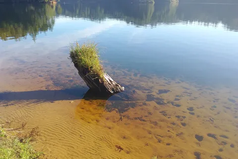 William M Tugman State Park