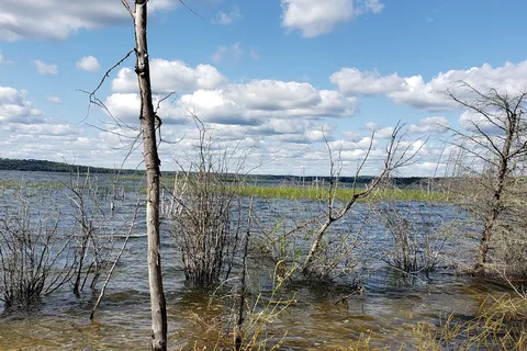 Nesslin Lake - Prince Albert National Park