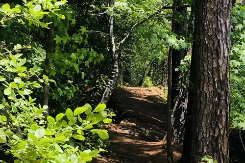 Twin Lakes RV Park