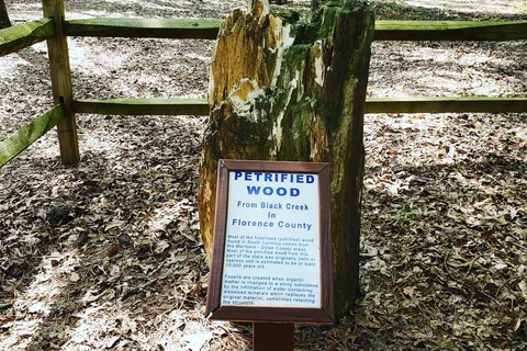 Little Pee Dee State Park