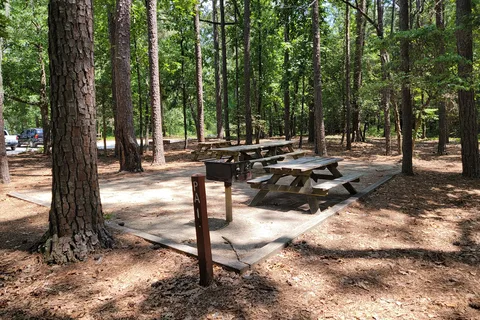 Little Pee Dee State Park