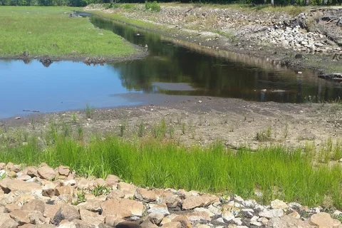 Little Pee Dee State Park