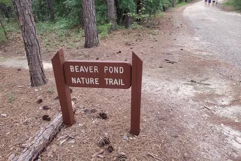 Little Pee Dee State Park