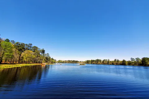 Little Pee Dee State Park