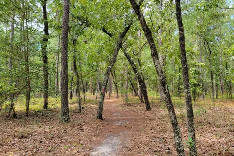 Little Pee Dee State Park