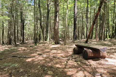 Bradbury Mountain State Park