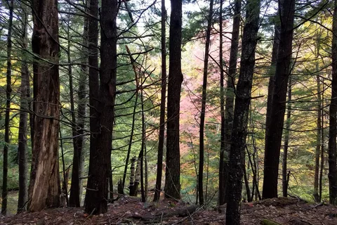 Bradbury Mountain State Park