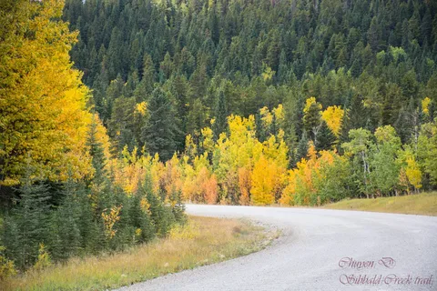 Sibbald Lake Provincial Recreational Area