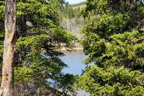 Sibbald Lake Provincial Recreational Area