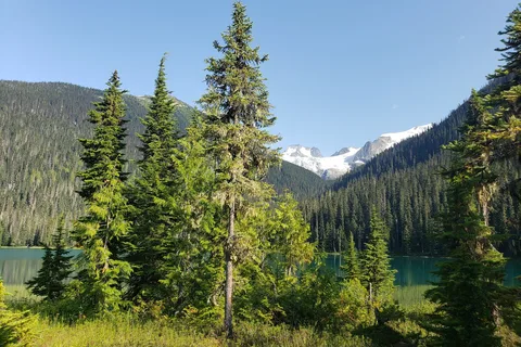 Joffre Lakes Provincial Park