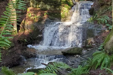 Larrabee State Park
