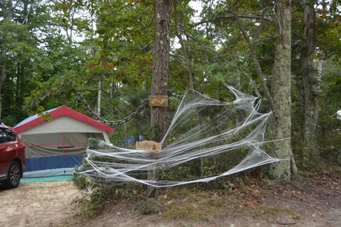Sweetwater Forest Camping Resort