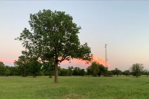 Wandering Oaks RV Park
