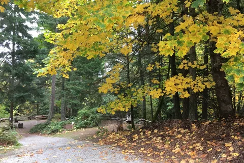 Mowhinna Creek Campground