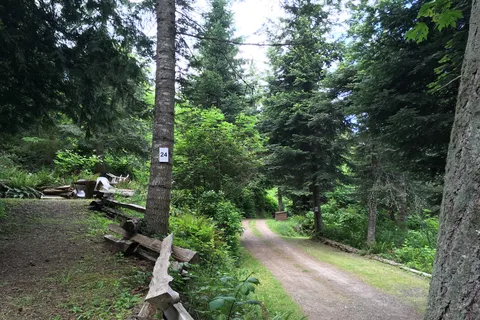 Mowhinna Creek Campground