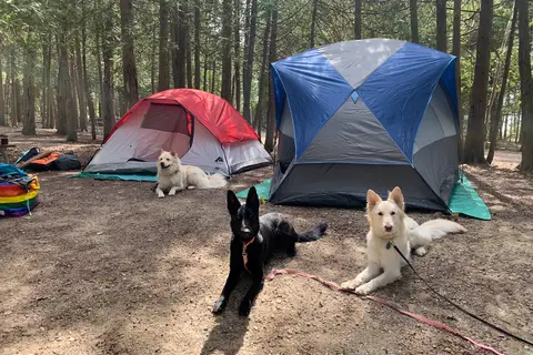 Cyprus Lake Campground - Bruce Peninsula National Park
