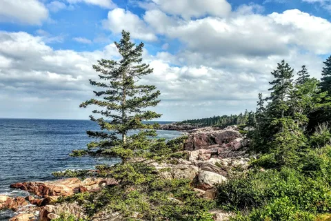 Bras d'Or Lakes Campground