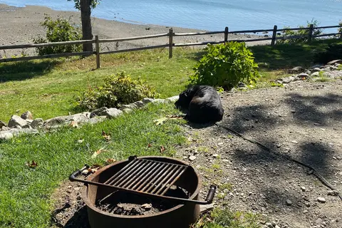 Moorings Oceanfront RV Resort