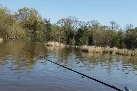 Raymond Gary State Park