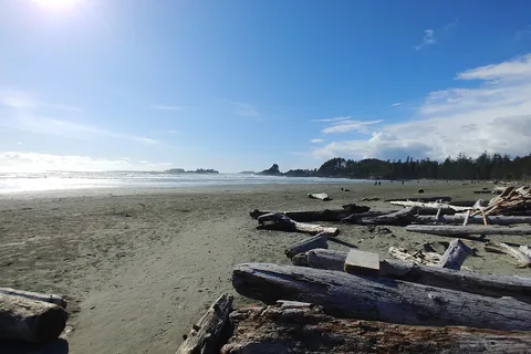 Surf Grove Campground