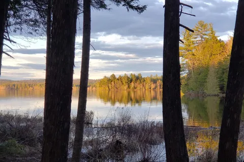 Wild Fox Resort