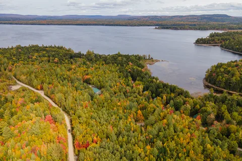 Wild Fox Resort