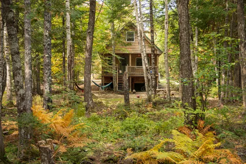 Wild Fox Resort