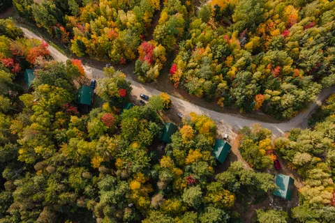 Wild Fox Resort