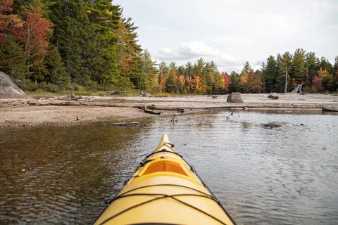 Wild Fox Resort