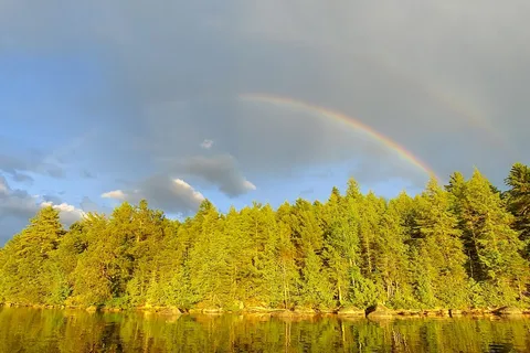 Wild Fox Resort