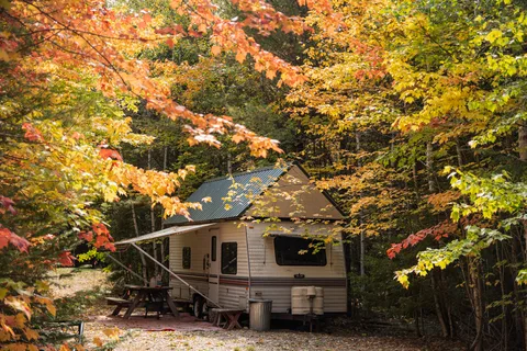 Wild Fox Resort